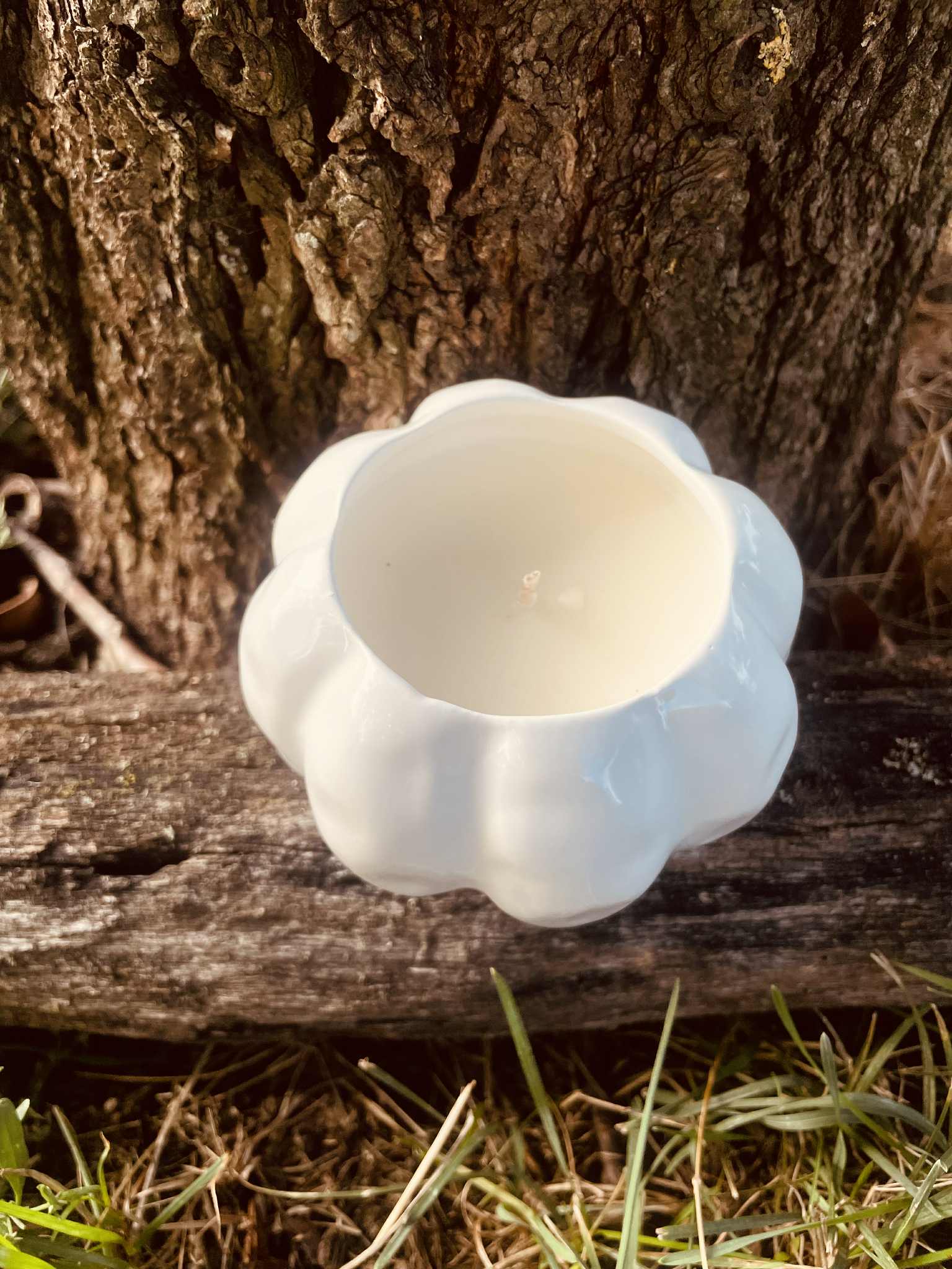 Szantálfa-cédrus kerámiában Fehér