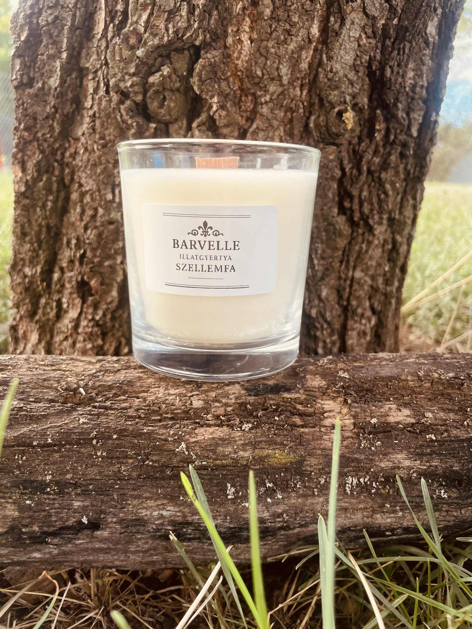 Barvelle Poharas Szellemfa