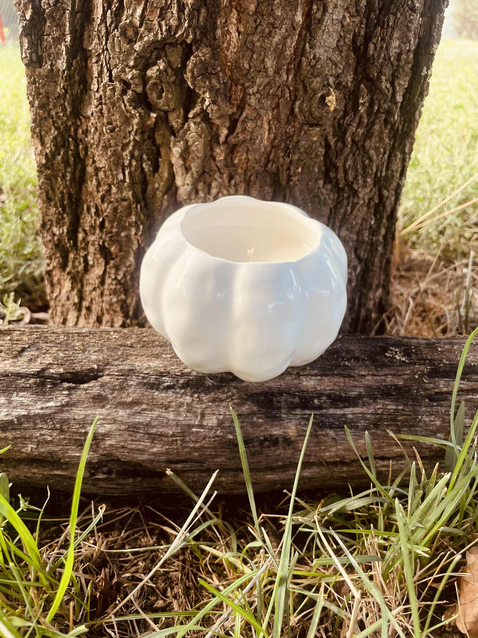 Szantálfa-cédrus kerámiában Fehér