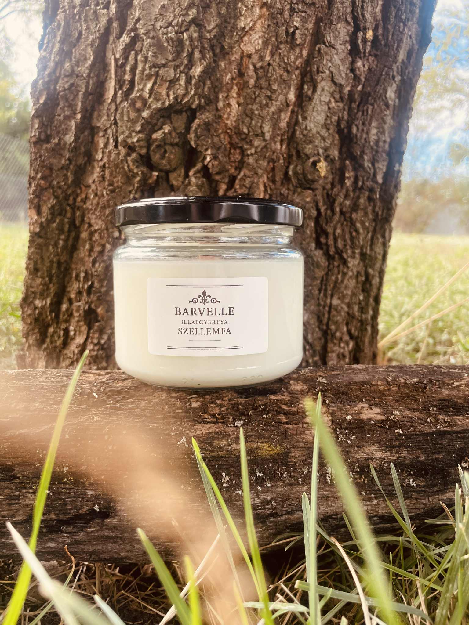 Barvelle Szellemfa