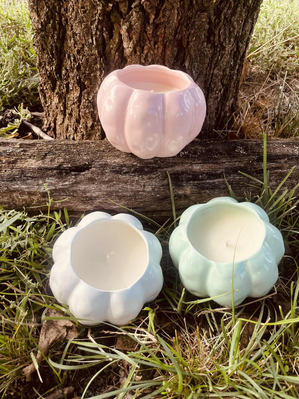 Szantálfa-cédrus kerámiában Fehér