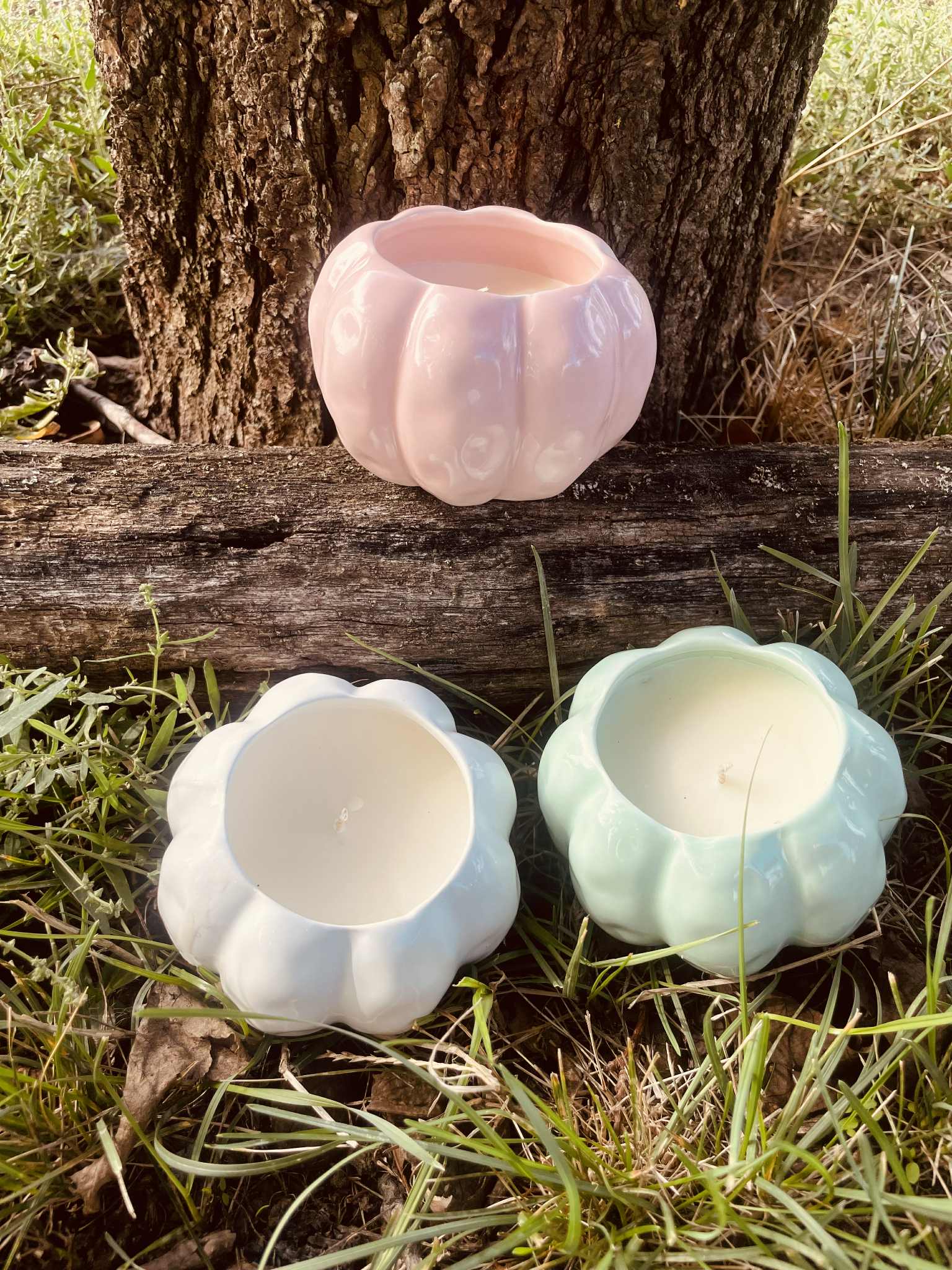 Szantálfa-cédrus kerámiában Fehér